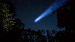 Comet in night sky and trees on background