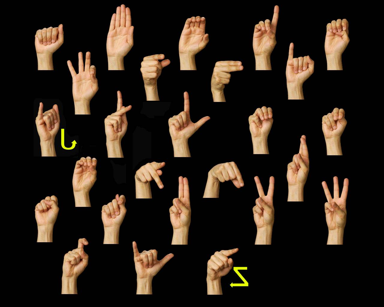 Herkesin Belirli Bir Düzeyde Bilmesi Gereken Dil: İşaret Dili