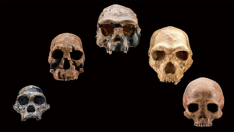 Afrika Dışındaki En Eski İnsan Fosili Bulundu!