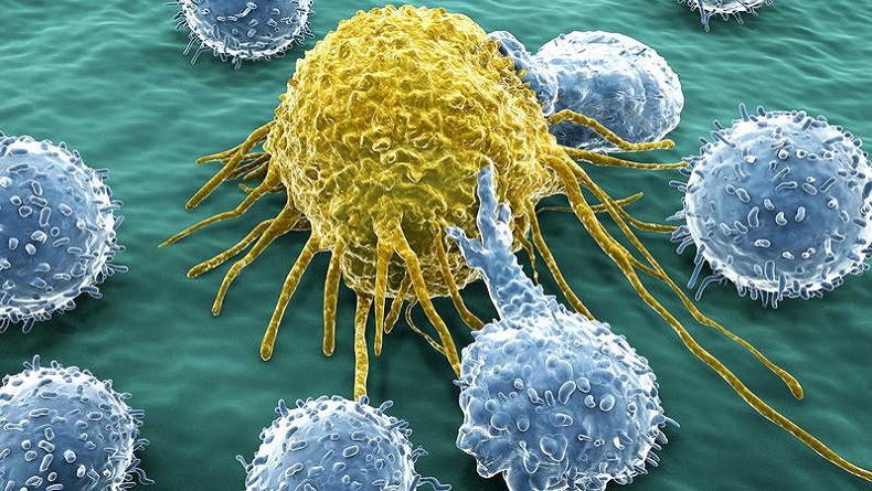 İngiltere'de Kanser Hücrelerine Sızan İlacın Denemeleri Başarılı Oldu!