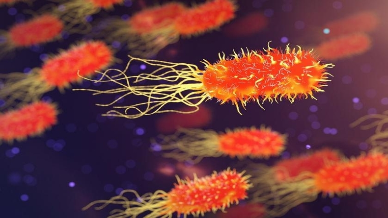 Antibiyotik Direncinin Nedeni Belirlendi: Bakteriler Şekil Değiştiriyor!