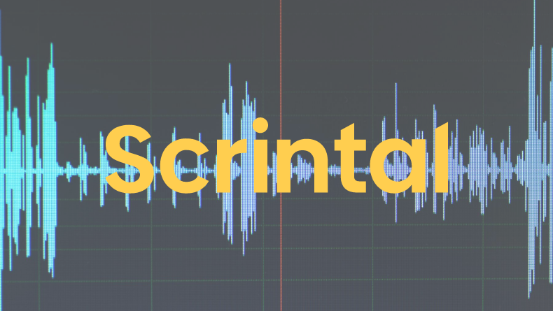 Ses ve Video Kayıtlarını Şifreleyen Platform: Scrintal