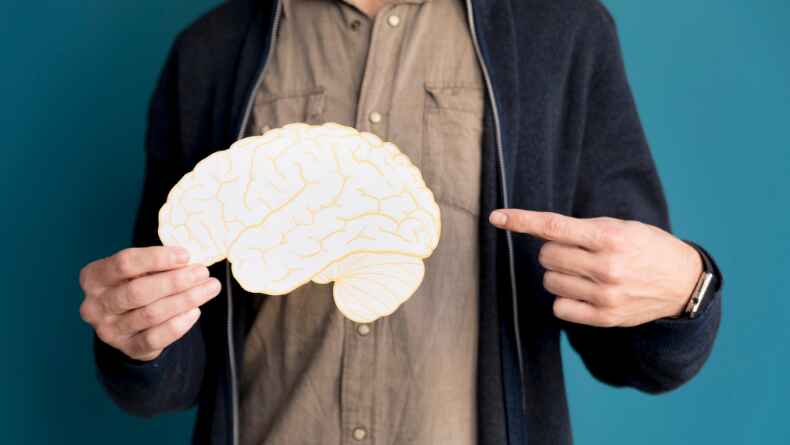 Beynimizde Neler Oluyor: Limbik Sistem #2