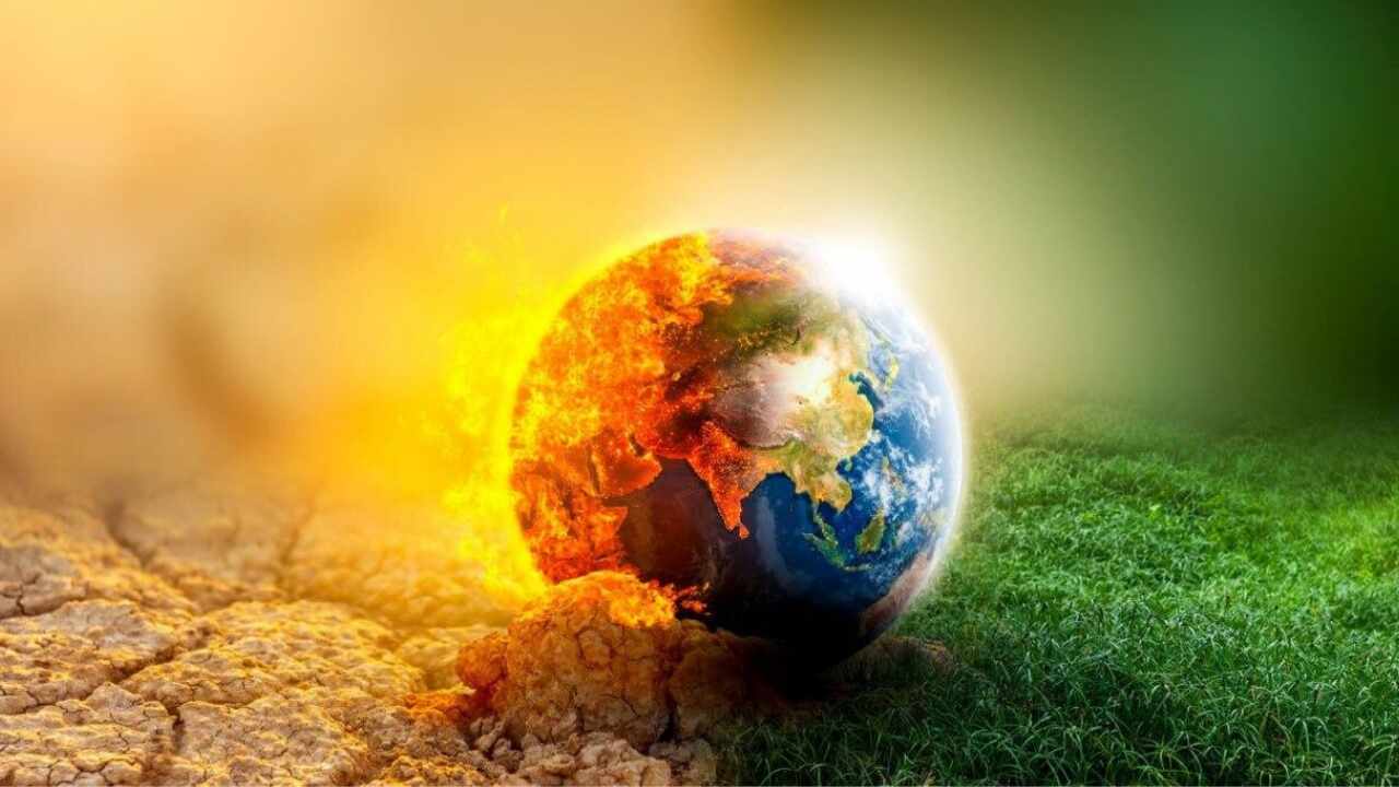 Küresel İklim Değişiklikleri İçin Alınabilecek Bazı Önlemler!