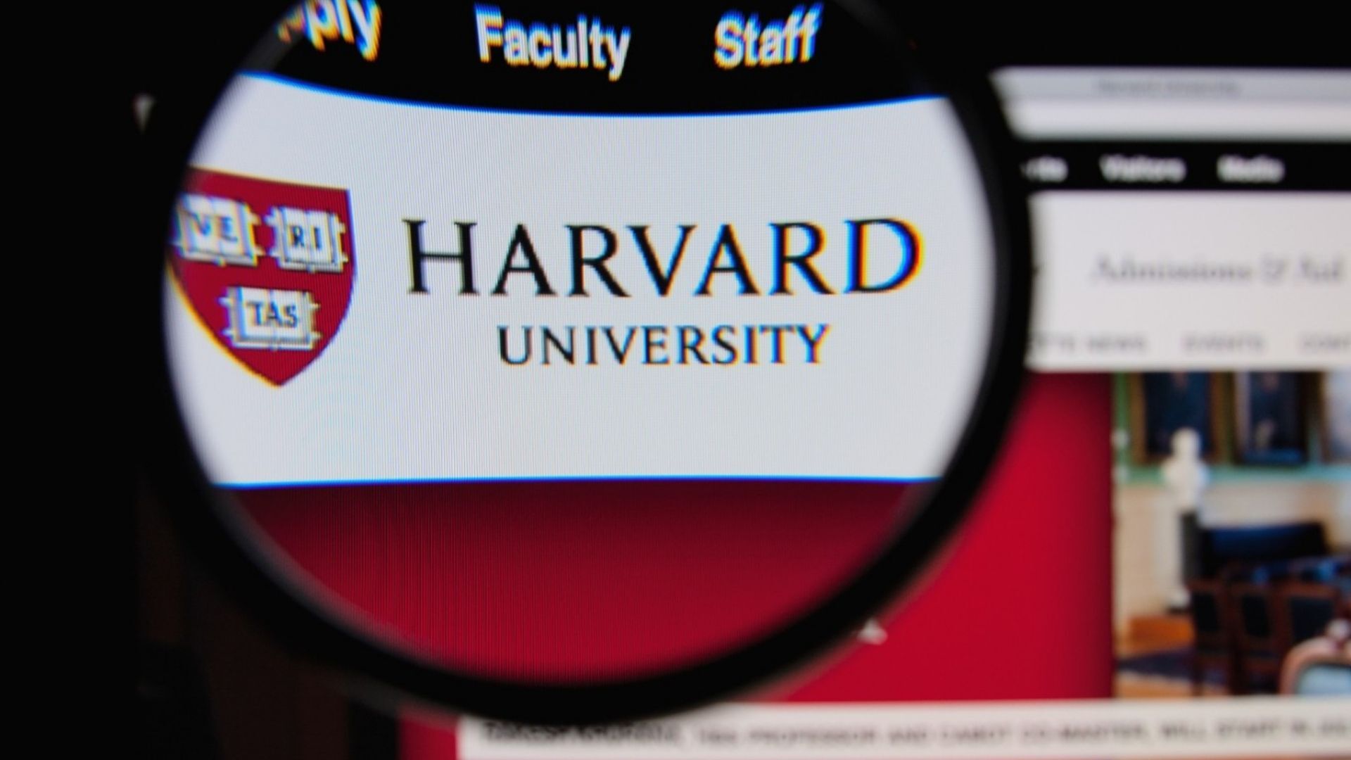Harvard Üniversitesi'nden Ücretsiz Yapay Zeka Kursu Alma Fırsatı!