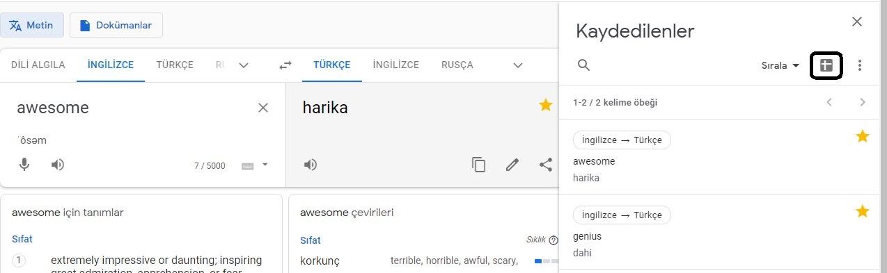 google translate özellikleri