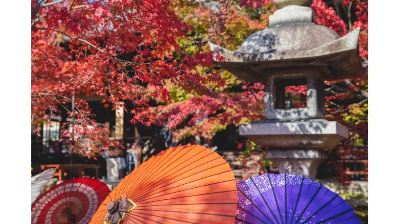 Japon kültür felsefe yaşam stili