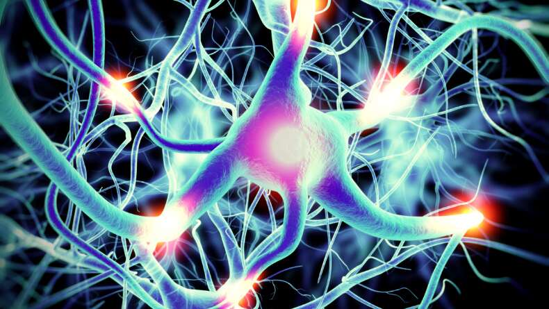 nöronlar, sinir hücreleri, beyin, mekanizma, günce